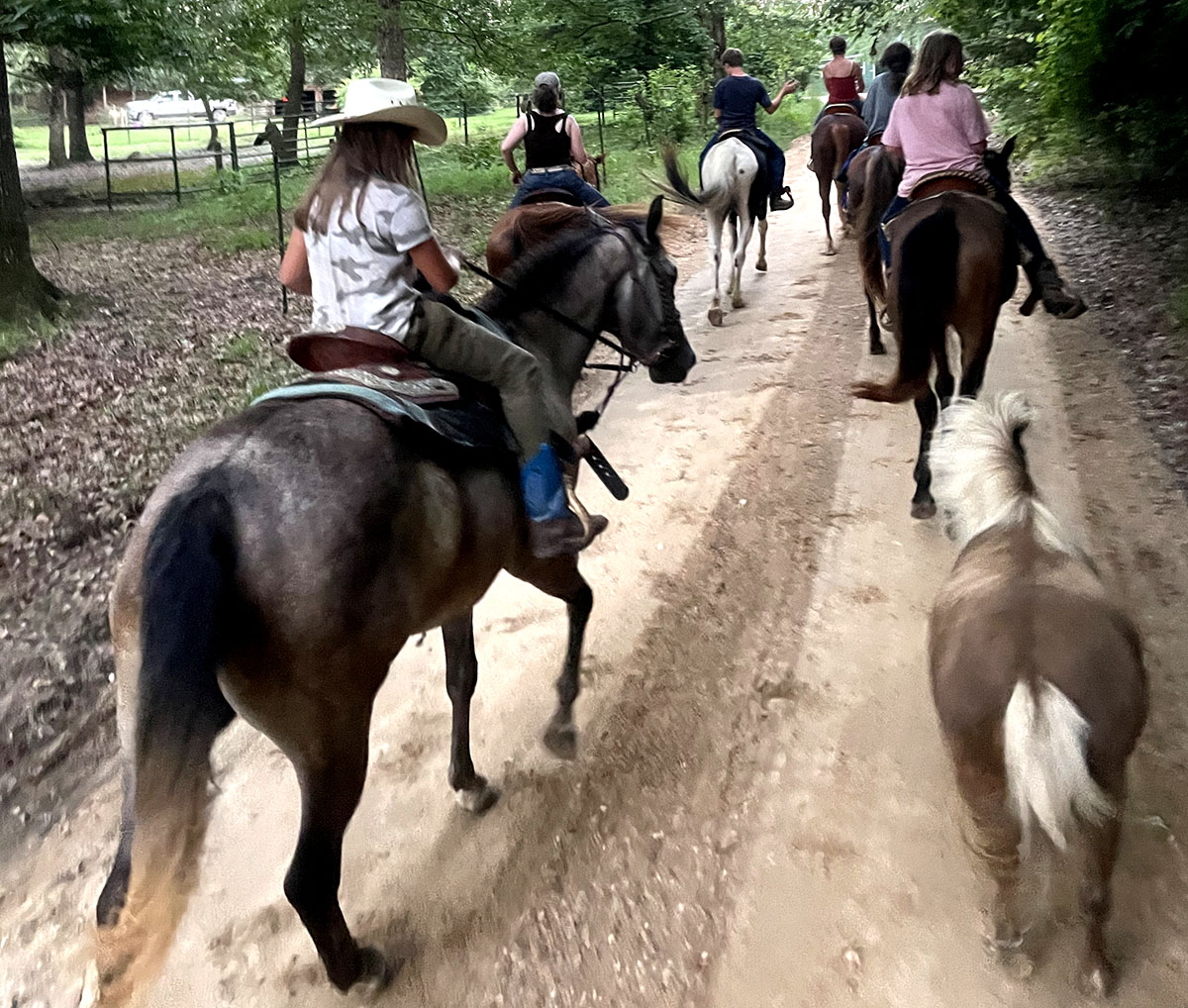 horse trail rides in South Arkansas