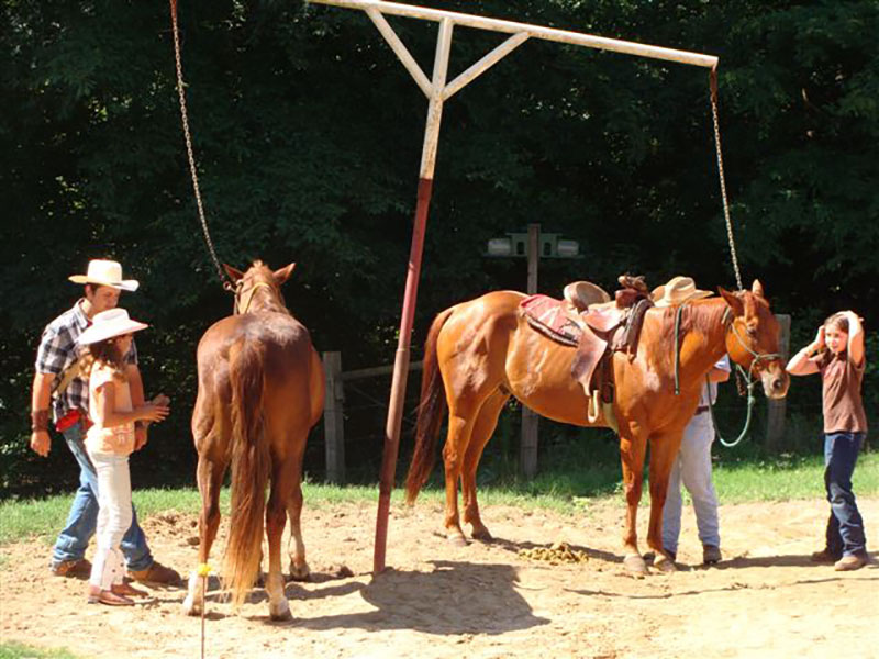 South Arkansas horseback riding lessons
