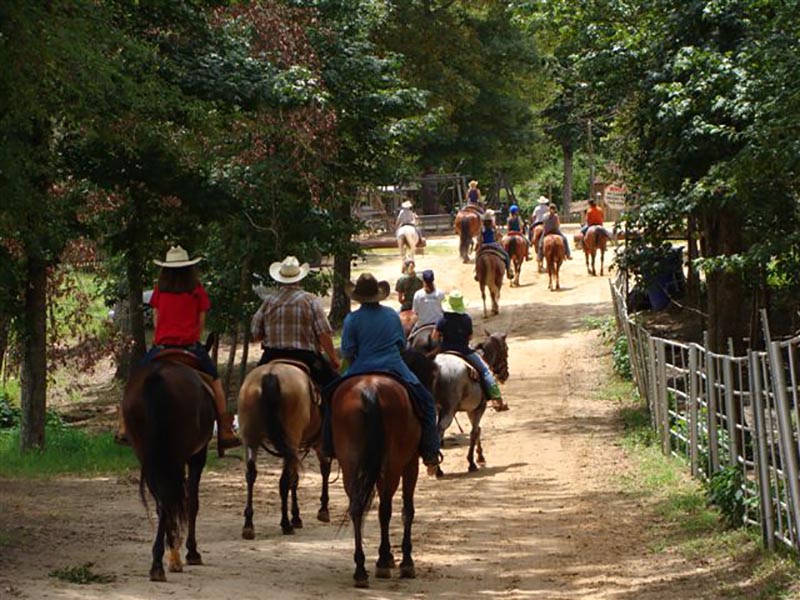 South Arkansas horseback trail rides