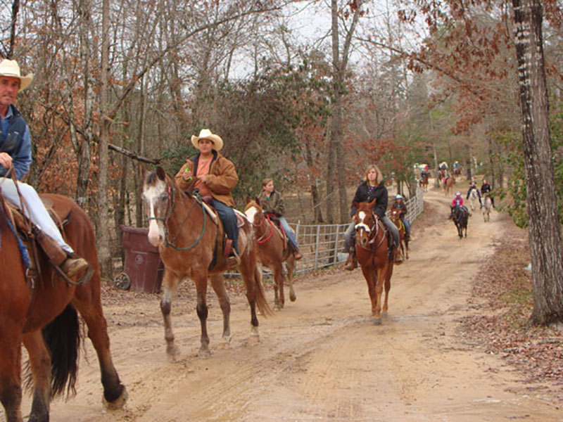 South Arkansas horseback trail rides