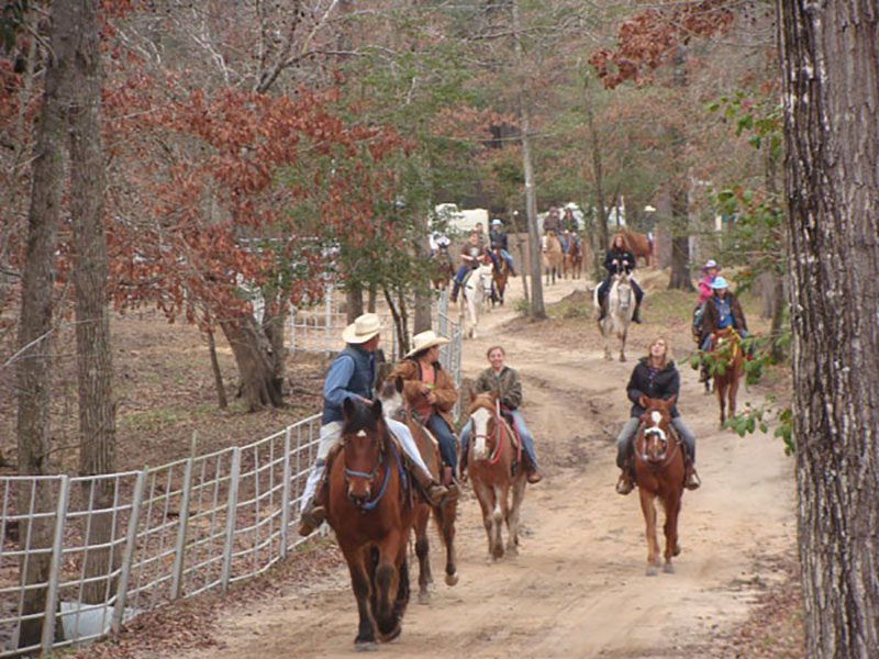 South Arkansas horseback trail rides