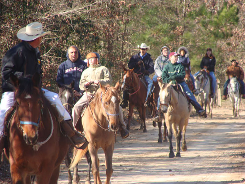 South Arkansas horseback trail rides