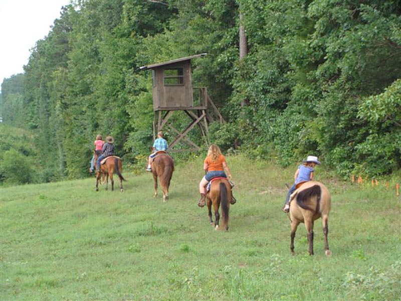 South Arkansas horseback trail rides