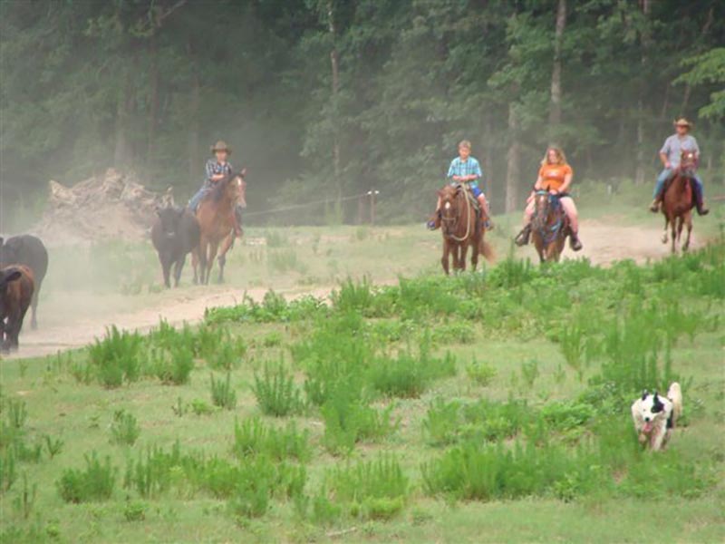 South Arkansas horseback trail rides