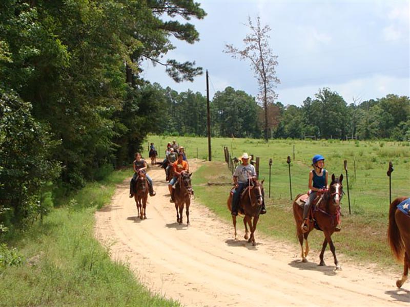 South Arkansas horseback trail rides