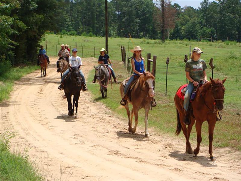 South Arkansas horseback trail rides