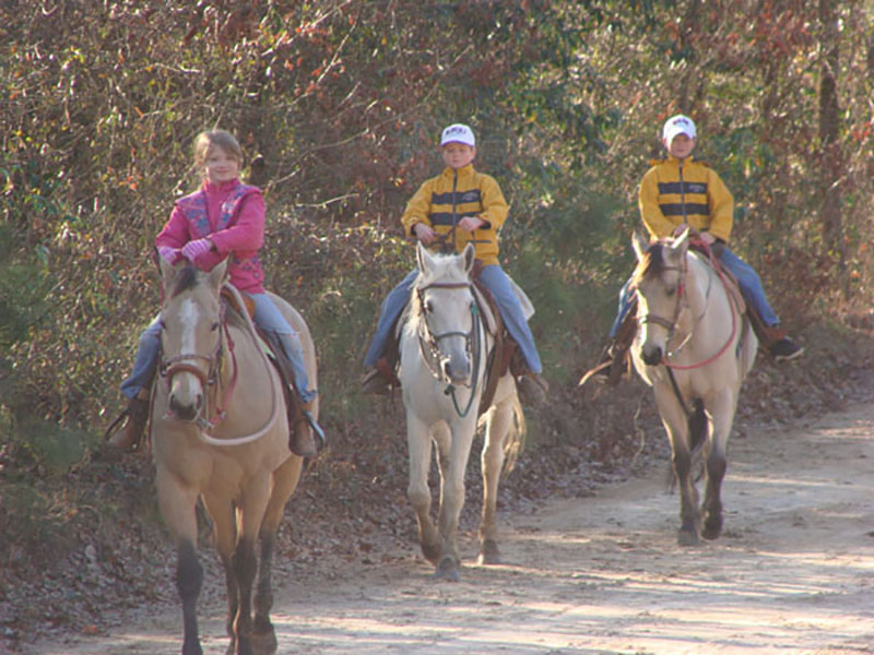 South Arkansas horseback trail rides